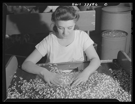 Parke, Davis and Company, manufacturing chemists, Detroit, Michigan. Inspection of filled capsules