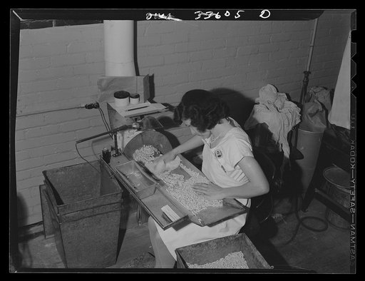Parke, Davis and Company, manufacturing chemists, Detroit, Michigan. Cleaning filled capsules