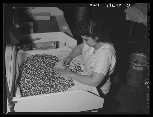 Parke, Davis and Company, manufacturing chemists, Detroit, Michigan. Final inspection of filled medicinal Kapseals