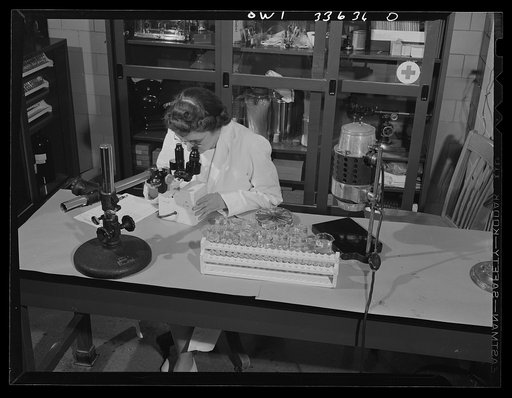 Parke, Davis and Company, manufacturing chemists, Detroit, Michigan. Checking vitamin deficiencies in animals