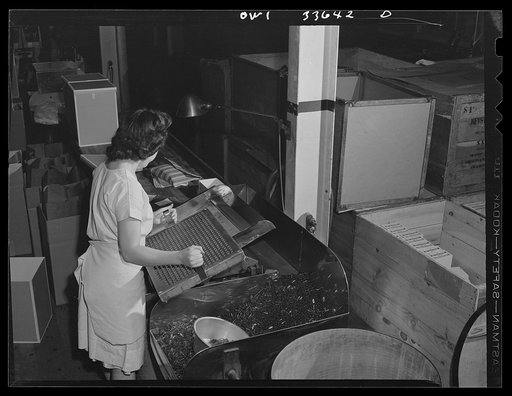 Parke, Davis and Company, manufacturing chemists, Detroit, Michigan. Counting empty gelatin capsules