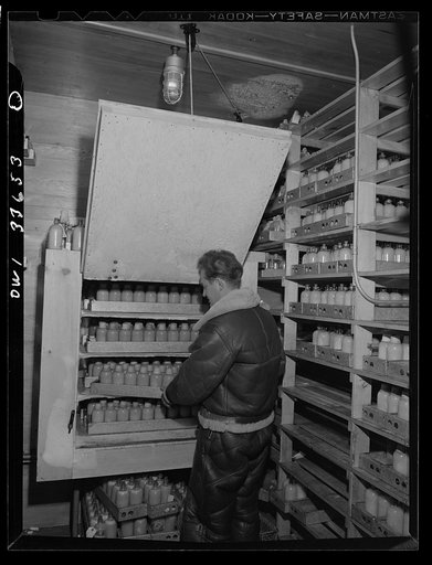 Parke, Davis and Company, manufacturing chemists, Detroit, Michigan. Section of shelves in the blood plasma freezing room