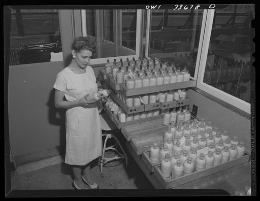 Parke, Davis and Company, manufacturing chemists, Detroit, Michigan. Inspection of blood plasma containers prior to final capping