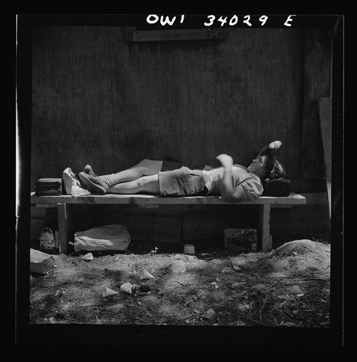 Untitled photo, possibly related to: Turkey Pond, near Concord, New Hampshire. Women workers employed by a U.S. Department of Agriculture timber salvage sawmill. Ruth De Roche, eighteen year old "pit woman," resting her head on her lunch pail during the lunch hour