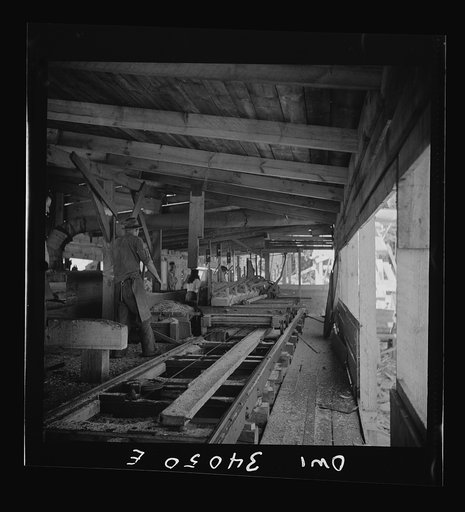 Turkey Pond, near Concord, New Hampshire. Women workers employed by a U.S. Department of Agriculture timber salvage sawmill. The main saw cutting rough boards from the logs is operated by Raymond Lathrop, sawyer, assisted by Raymond De Greenia, roller. Mr. De Greenia's wife, Dorothy, and also his br
