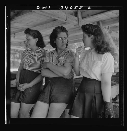 Turkey Pond, near Concord, New Hampshire. Women workers employed by a U.S. Department of Agriculture timber salvage sawmill. A break in the work, waiting for minor repairs. Left to right: Mrs. Daisy Perkins, trimmer; Mrs. Lucy DeGreenia, "take- away," and Barbara Webber, edger