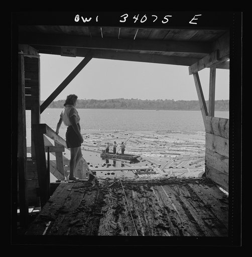 Untitled photo, possibly related to: Turkey Pond, near Concord, New Hampshire. Women workers employed by a U.S. Department of Agriculture timber salvage sawmill. Logs are chained together, attached to the cable and pulled up the slip from the pond