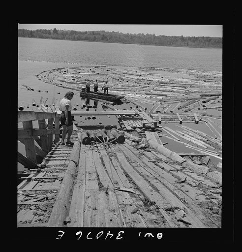 Turkey Pond, near Concord, New Hampshire. Women workers employed by a U.S. Department of Agriculture timber salvage sawmill. Logs are chained together, attached to the cable and pulled up the slip from the pond