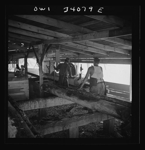 Untitled photo, possibly related to: Turkey Pond, near Concord, New Hampshire. A U.S. Department of Agriculture timber salvage sawmill, which employs women for most of the work. The main saw cutting rough boards from the logs is operated by Raymond Lathrop, sawyer, right, assisted by Raymond De Gree