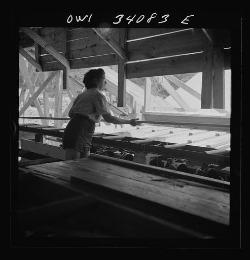 Untitled photo, possibly related to: Turkey Pond, near Concord, New Hampshire. Women workers employed by a U.S. Department of Agriculture timber salvage sawmill. A break in the work, waiting for minor repairs. Left to right: Mrs. Daisy Perkins, trimmer; Mrs. Lucy DeGreenia, "take- away," and Barbara