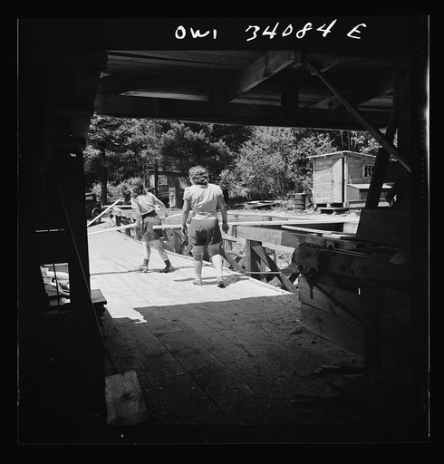 Turkey Pond, near Concord, New Hampshire. Women workers employed by a U.S. Department of Agriculture timber salvage sawmill. As a conveyor carries the trimmed boards down past the pit, Norma Webber and Ruth De Rochs, "pit women," take the board off when it is opposite the pile designated for boards 