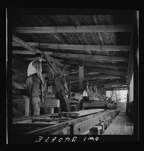 Untitled photo, possibly related to: Turkey Pond, near Concord, New Hampshire. A U.S. Department of Agriculture timber salvage sawmill, which employs women for most of the work. The main saw cutting rough boards from the logs is operated by Raymond Lathrop, sawyer, right, assisted by Raymond De Gree