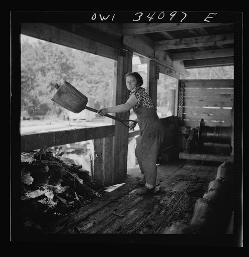 Turkey Pond, near Concord, New Hampshire. Women workers employed by a U.S. Department of Agriculture timber salvage sawmill. Mrs. Dorothy De Greenia, slip woman, shoveling up the slimy bark just peeled off the logs that come up the slip from the pond