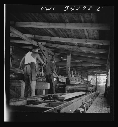 Turkey Pond, near Concord, New Hampshire. A U.S. Department of Agriculture timber salvage sawmill, which employs women for most of the work. The main saw cutting rough boards from the logs is operated by Raymond Lathrop, sawyer, right, assisted by Raymond De Greenia, roller. Mr. De Greenia's wife, D