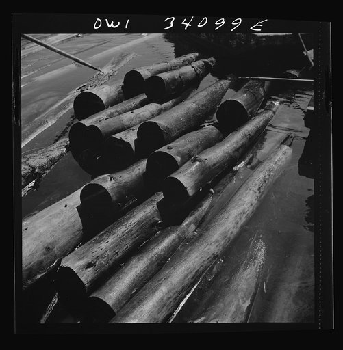 Turkey Pond, near Concord, New Hampshire. A U.S. Department of Agriculture timber salvage sawmill. The timber sawed at Turkey Pond mill is salvaged from wood felled by the hurricane which hit New England in September 1938. Most of it has been in the pond since 1939. There is enough wood left to keep