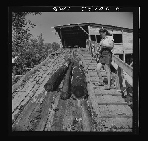 Untitled photo, possibly related to: Turkey Pond, near Concord, New Hampshire. Women workers employed by a U.S. Department of Agriculture timber salvage sawmill. Mrs. Elizabeth Esty pounds hooks into the logs so they can be chained together and pulled up the slip