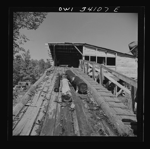 Turkey Pond, near Concord, New Hampshire. A U.S. Department of Agriculture timber salvage sawmill. The logs are chained together, atttached to a cable, and pulled up the slip by a power-driven winch
