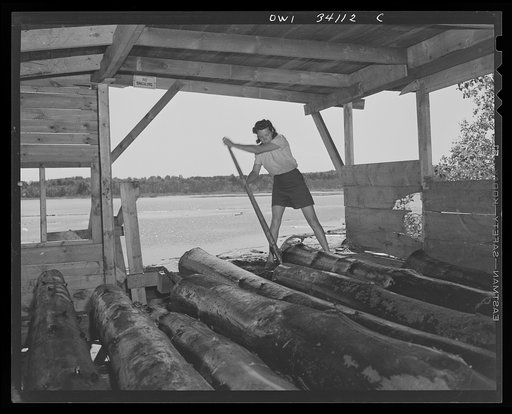 Turkey Pond, near Concord, New Hampshire. Women workers employed by a U.S. Department of Agriculture timber salvage sawmill. Mrs. Elizabeth Esty rolling logs off the slip toward the main saw