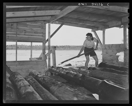 Untitled photo, possibly related to: Turkey Pond, near Concord, New Hampshire. Women workers employed by a U.S. Department of Agriculture timber salvage sawmill. Mrs. Elizabeth Esty rolling logs off the slip toward the main saw