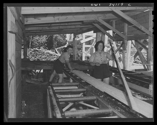 Turkey Pond, near Concord, New Hampshire. Women workers employed by a U.S. Department of Agriculture timber salvage sawmill. As a board comes away from the edges, Mrs. Lucy DeGreen, right, taking away from the edges and putting them on a conveyor to be sawed into two foot lengths for scrap, while Mr