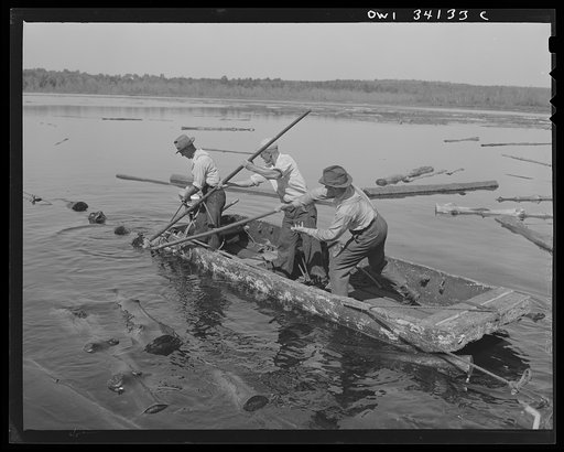 Turkey Pond, near Concord, New Hampshire. A U.S. Department of Agriculture timber salvage sawmill. Rounding up logs on the pond, a job these men do at all the government salvage mills in the vicinity