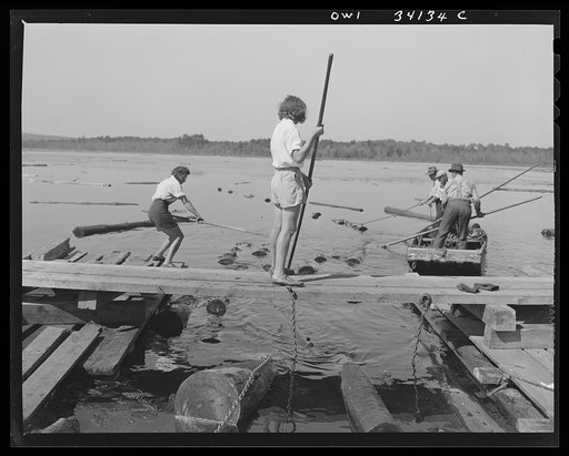 Turkey Pond, near Concord, New Hampshire. Women workers employed by a U.S. Department of Agriculture timber salvage sawmill. Mrs. Elizabeth Esty, left, and Florence Drouin, pond women; use regular logging pikes to bring the logs in place on the slip