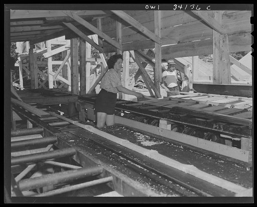 Turkey Pond, near Concord, New Hampshire. Women workers employed by a U.S. Department of Agriculture timber salvage sawmill. Mrs. Lucy De Greenia putting trimmed edges on a conveyor which takes them through a multiple saw operated by Lionel Belanger, one of the few men employed at Turkey Pond