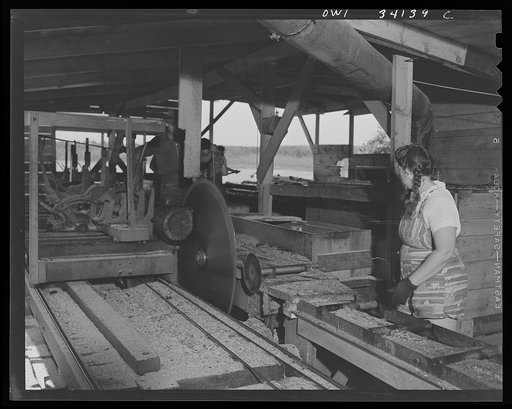 Untitled photo, possibly related to: Turkey Pond, near Concord, New Hampshire. Women workers employed by a U.S. Department of Agriculture timber salvage sawmill. Mrs. Violet Storey, "take-away," and Barbara Webber, "edger," sending a log down the conveyor to be sawed into two-foot lengths for scrap