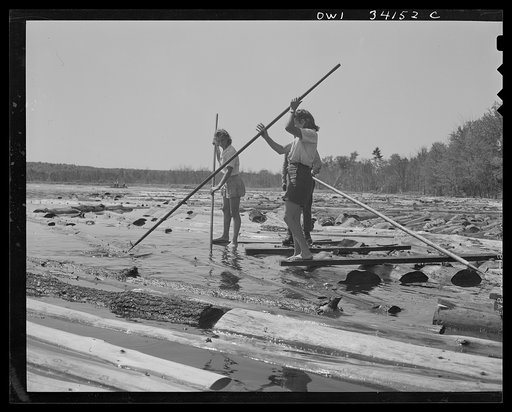 Turkey Pond, near Concord, New Hampshire. Women workers employed by a U.S. Department of Agriculture timber salvage sawmill. Florence Drouin and Mrs. Elizabeth Esty, pond women, use regular logging pikes to bring the logs into place on the slip