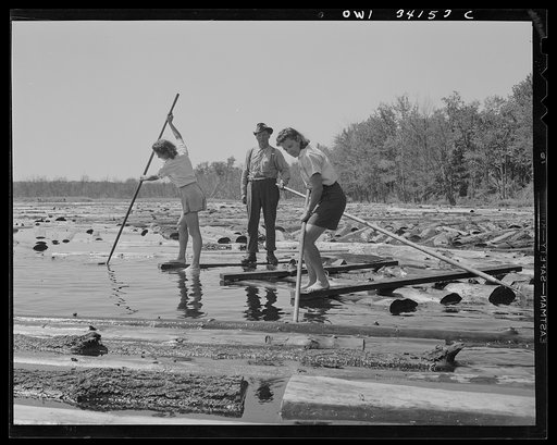 Untitled photo, possibly related to: Turkey Pond, near Concord, New Hampshire. Women workers employed by a U.S. Department of Agriculture timber salvage sawmill. Florence Drouin and Mrs. Elizabeth Esty, pond women, use regular logging pikes to bring the logs into place on the slip