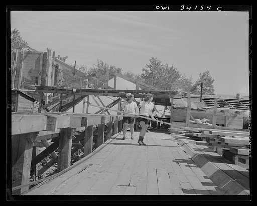 Turkey Pond, near Concord, New Hampshire. Women workers employed by a U.S. Department of Agriculture timber salvage sawmill. Norman Webber, front, and Ruth De Roche taking the finished boards from the conveyor and piling them according to size in the "pit"