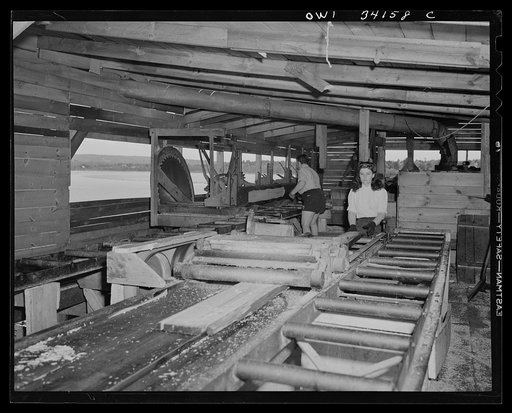 Untitled photo, possibly related to: Turkey Pond, near Concord, New Hampshire. Women workers employed by a U.S. Department of Agriculture timber salvage sawmill. Mrs. Violet Storey, "take away," lifting one end of a rough board to swing it from the conveyor to the balance where Barbara Webber, right