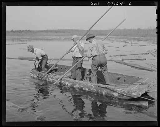 Untitled photo, possibly related to: Turkey Pond, near Concord, New Hampshire. Women workers employed by a U.S. Department of Agriculture timber salvage sawmill. Florence Drouin, using a regular logging pike, pushing up onto the slip logs which the pond men have just towed in
