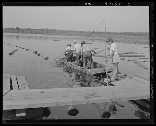 Turkey Pond, near Concord, New Hampshire. Women workers employed by a U.S. Department of Agriculture timber salvage sawmill. Florence Drouin, using a regular logging pike, pushing up onto the slip logs which the pond men have just towed in