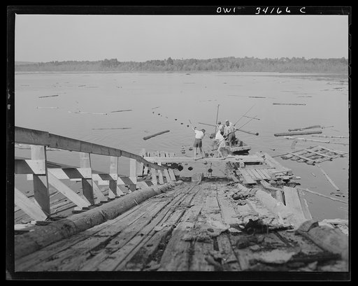 Turkey Pond, near Concord, New Hampshire. Women workers employed by a U.S. Department of Agriculture timber salvage sawmill. Mrs. Elizabeth Esty and Florence Drouin, "pond women," pulling up logs towed in by the men