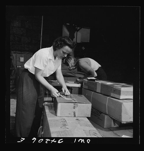 New Britain, Connecticut. Mrs. Dorothy Bell and Miss Ida Hicks, employed at the American Railway Express Company, earns thirty-three dollars and twnety-six cents per week, sorting, weighting, and stamping packages