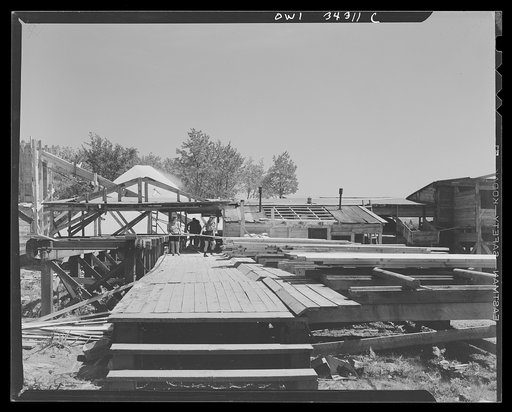 Turkey Pond, near Concord, New Hampshire. Women workers employed by a United State Department of Agriculture timber salvage sawmill. "The pit," where cut and trimmed lumber is sorted in piles according to size. In the background is part of the mill, and the sawdust pile