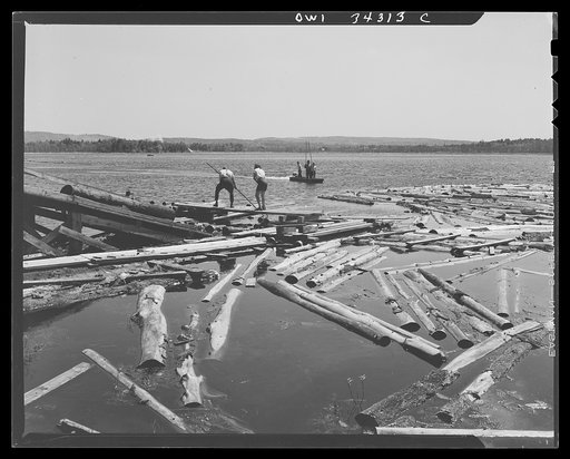 Turkey Pond, near Concord, New Hampshire. Women workers employed by a U.S. Department of Agriculture timber salvage sawmill. Mrs. Elizabeth Esty and Florence Drouin, pond women, use regular logging pikes to bring the logs into place on the slip. The timber sawed at this mill is wood felled by the hu