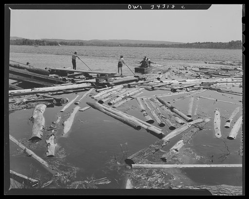Untitled photo, possibly related to: Turkey Pond, near Concord, New Hampshire. Women workers employed by a U.S. Department of Agriculture timber salvage sawmill. Mrs. Elizabeth Esty and Florence Drouin, pond women, use regular logging pikes to bring the logs into place on the slip. The timber sawed 