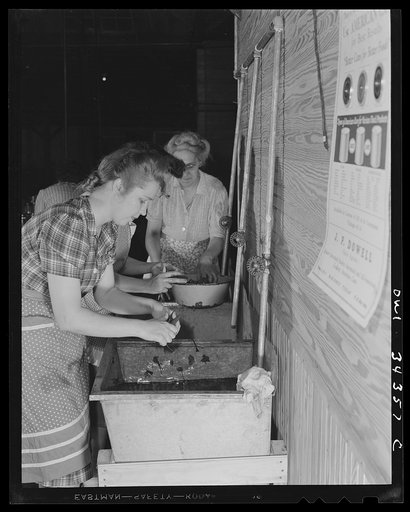 Untitled photo, possibly related to: Jeffersontown, Kentucky. The Jefferson County ommunity cannery, started by the WPA (Work Projects Administration), now conducted by the state (?) vocational education department. Women pay three cents each for cans and two cents per can for use of the pressure co