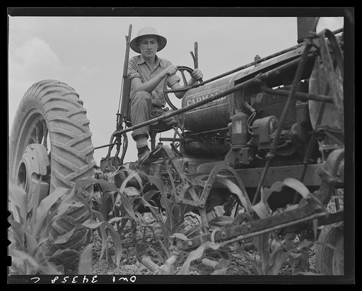 Untitled photo, possibly related to: Valley Station, Kentucky. John E. Kalmey, age eighteen, cultivating his field of corn. In 1942, he took the championship for corn as a member of a 4-H club; he grew 97.07 bushels of corn to the acre