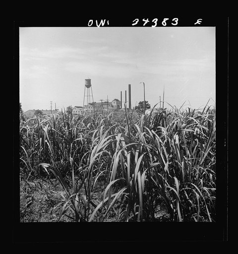 New Iberia, Louisiana. Sugar refinery
