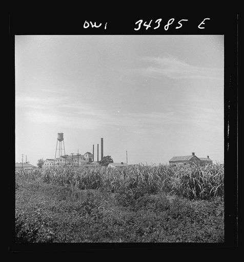 Untitled photo, possibly related to: New Iberia, Louisiana. Sugar refinery