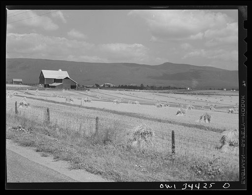Luray, Virginia. Farm near Luray