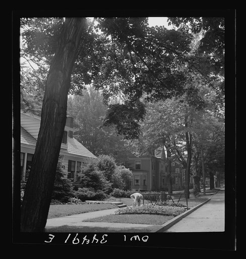 Oswego, New York. A citizen working on Sunday morning in the victory garden he has made on the edge of the street