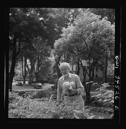 Untitled photo, possibly related to: Oswego, New York. Man gardening