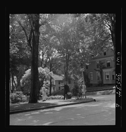 Oswego, New York. A street scene