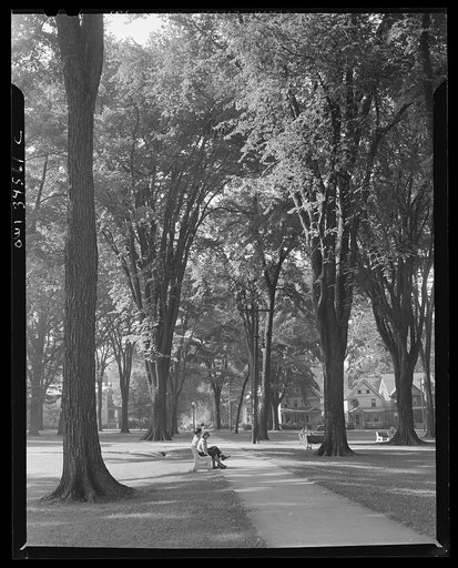 Oswego, New York. Park