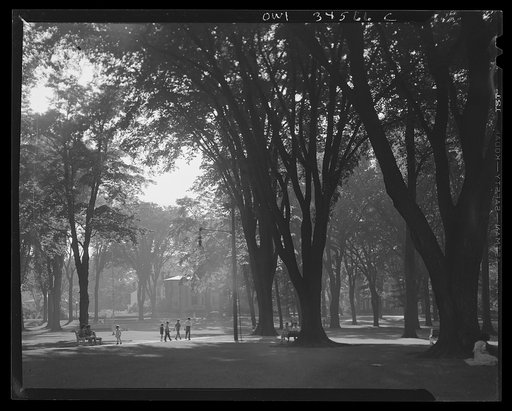 Oswego, New York. A park