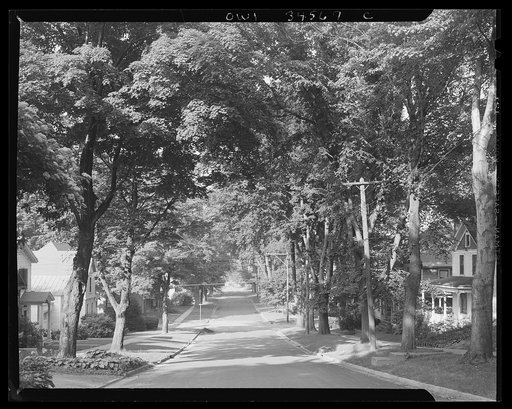 Oswego, New York. A residential street